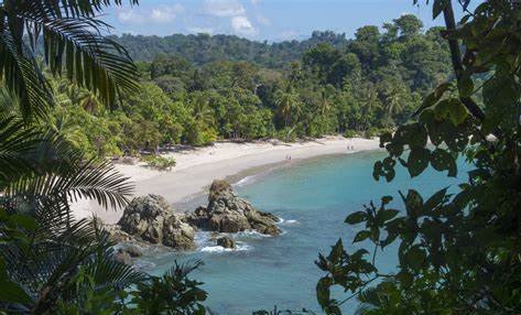Ayahuasca Retreats in Costa Rica