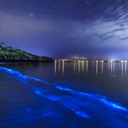 bioluminicescia-1080x675 afinando el alma